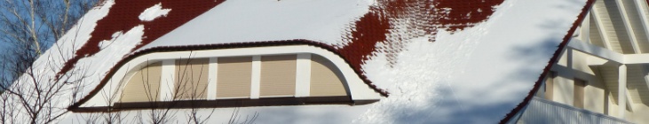 Dachgauben vom Öko & Co. Holzbau Trebbin Berlin Brandenburg