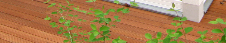 Holzterrassen von Öko & Co. Holzbau Brandenburg Berlin